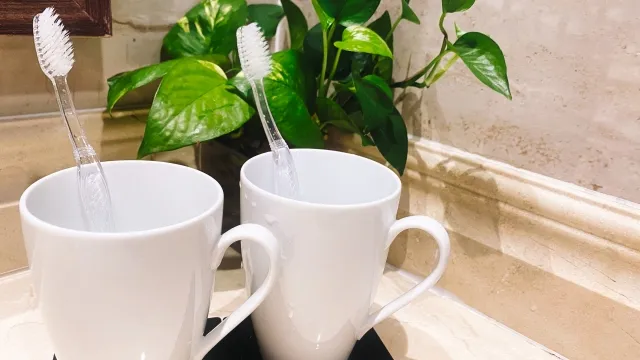 むし歯になる前に