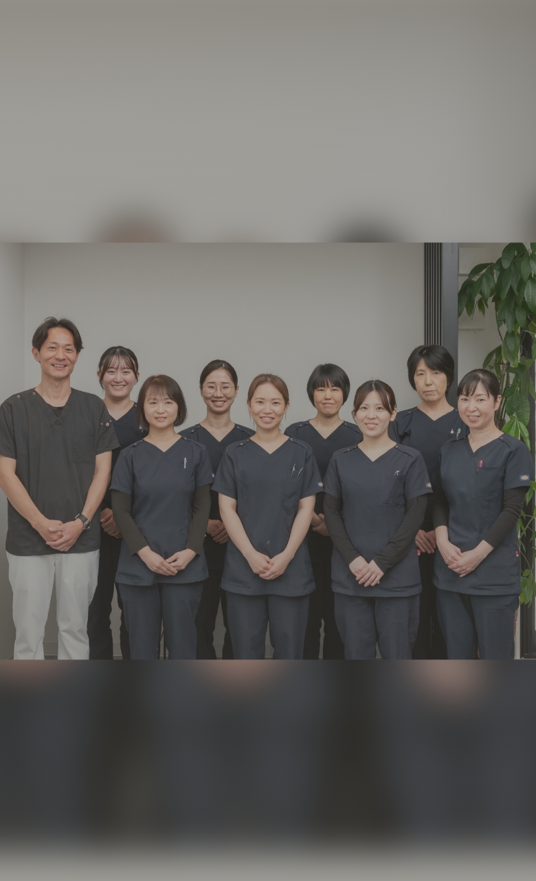 噛めない今から噛める未来